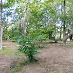 La - En La Naturaleza Carranceja
