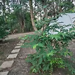 La - En La Naturaleza *