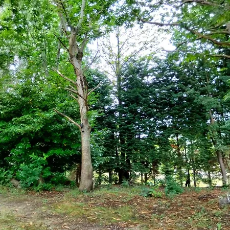 Luksustelt La - En La Naturaleza Carranceja