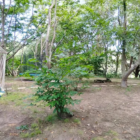 La - En La Naturaleza Carranceja