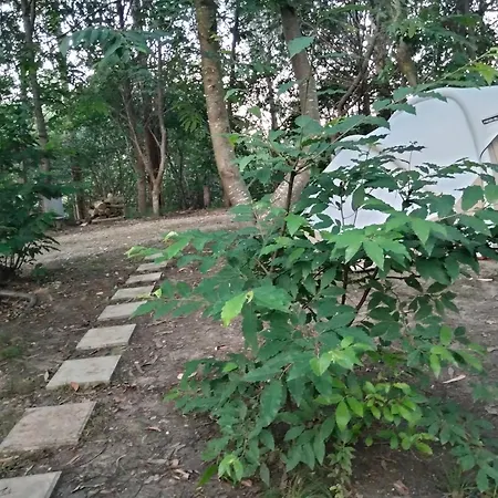 La - En La Naturaleza *