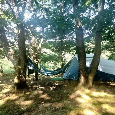 La - En La Naturaleza Carranceja