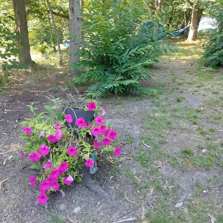 La - En La Naturaleza * Carranceja