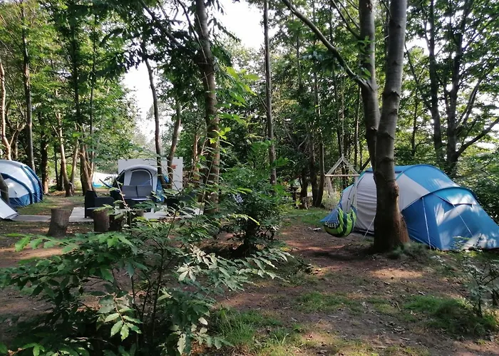 La - En La Naturaleza *