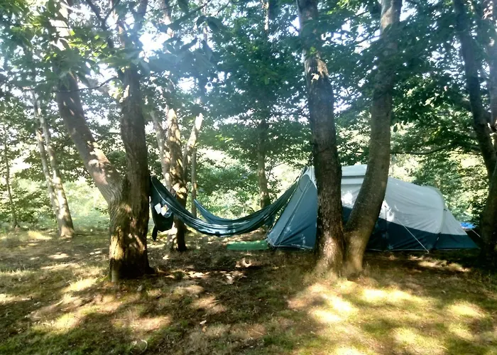 La - En La Naturaleza Carranceja
