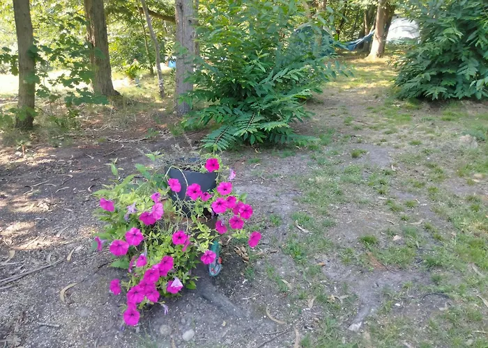 La - En La Naturaleza * Carranceja