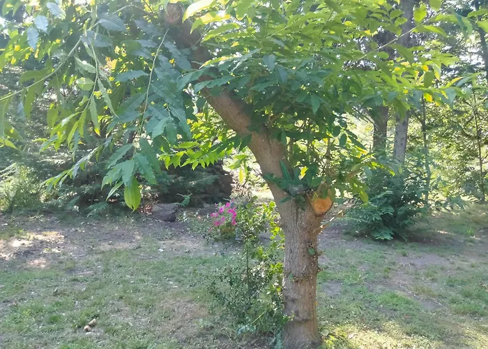 La - En La Naturaleza Luxuszelt